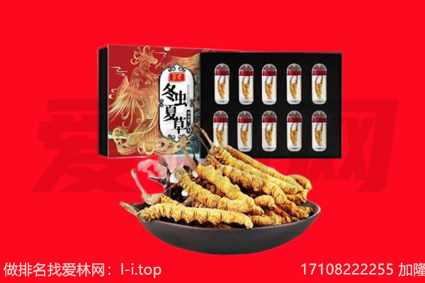 东莞市道滘镇回收虫草.jpg